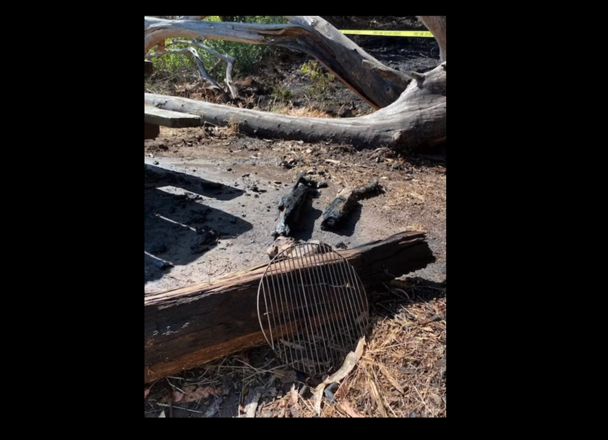 Natural Bridges fire contained